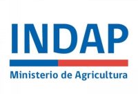 ministerio de agricultura indap